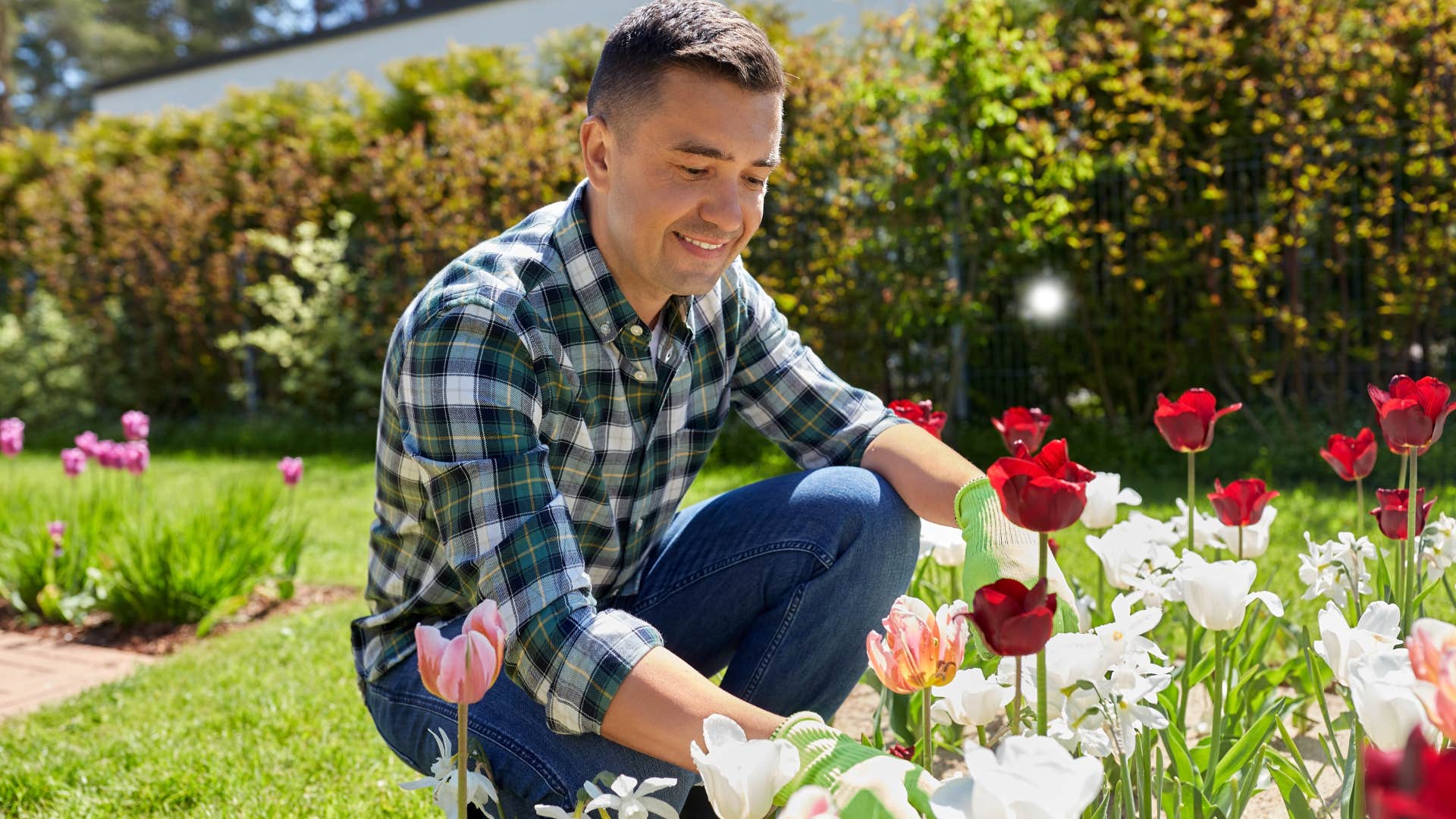 man looking at flowers in garden