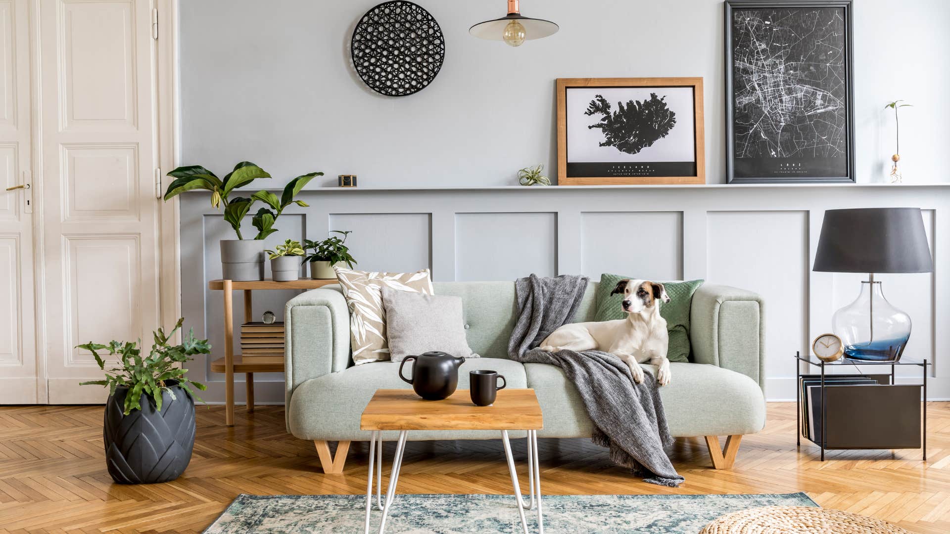 Comfortable home is lived in space