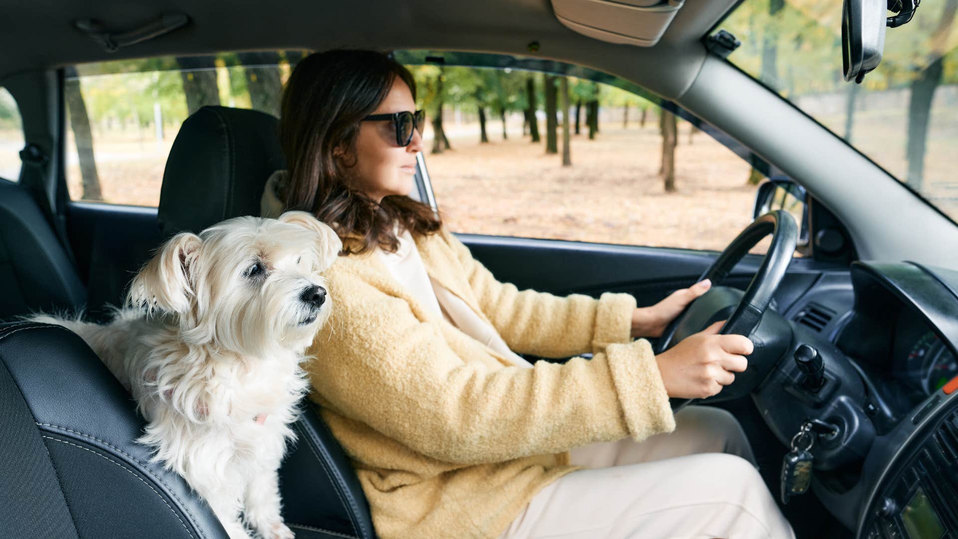 woman who has her pet in the car