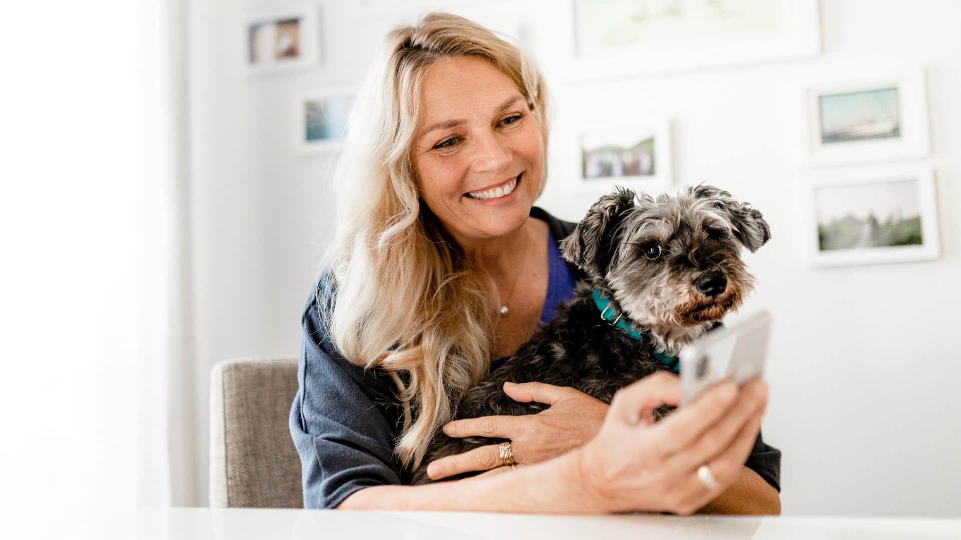 dog judging his owner over her phone use