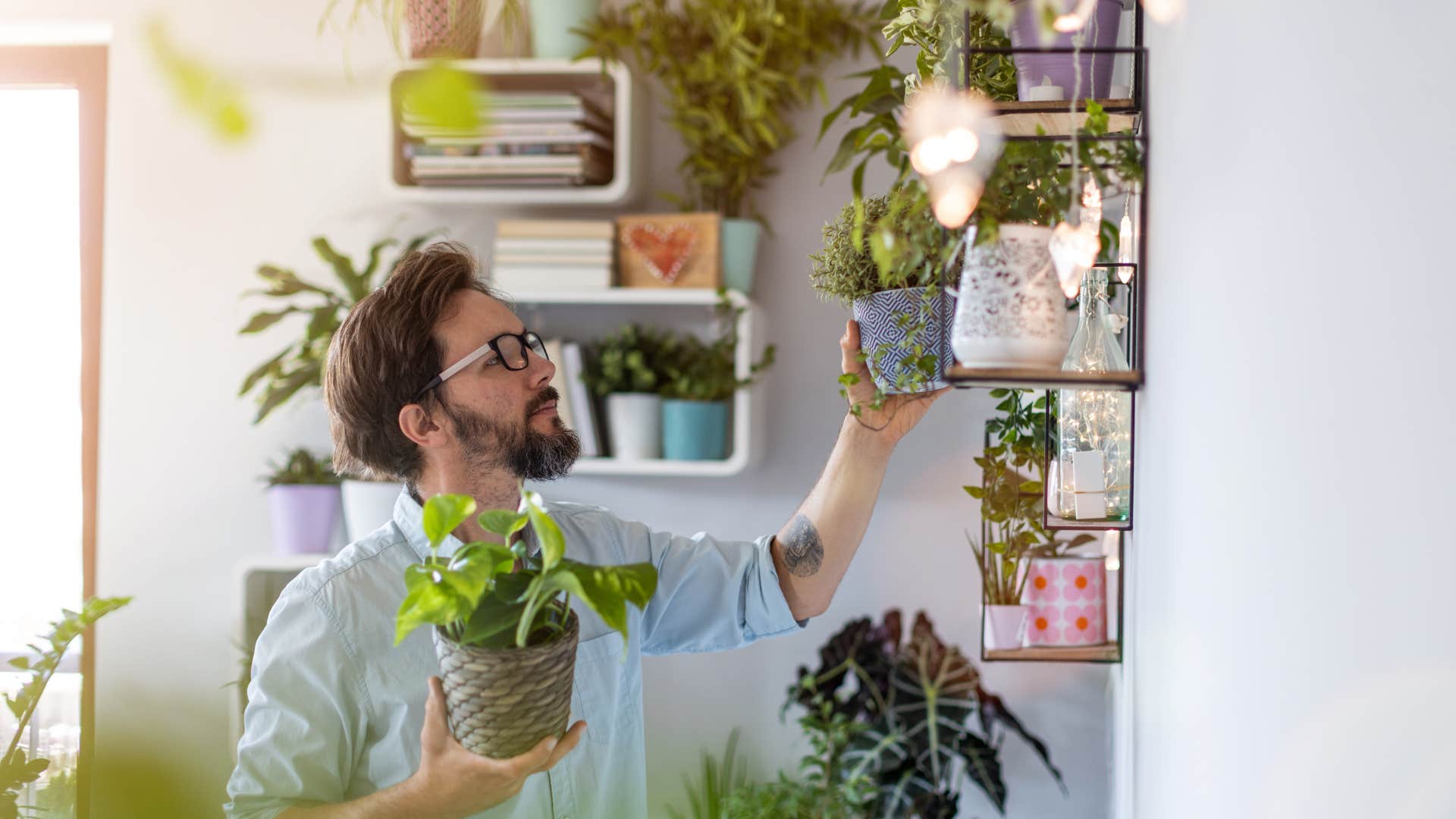 a man reorganizes his plants in his home