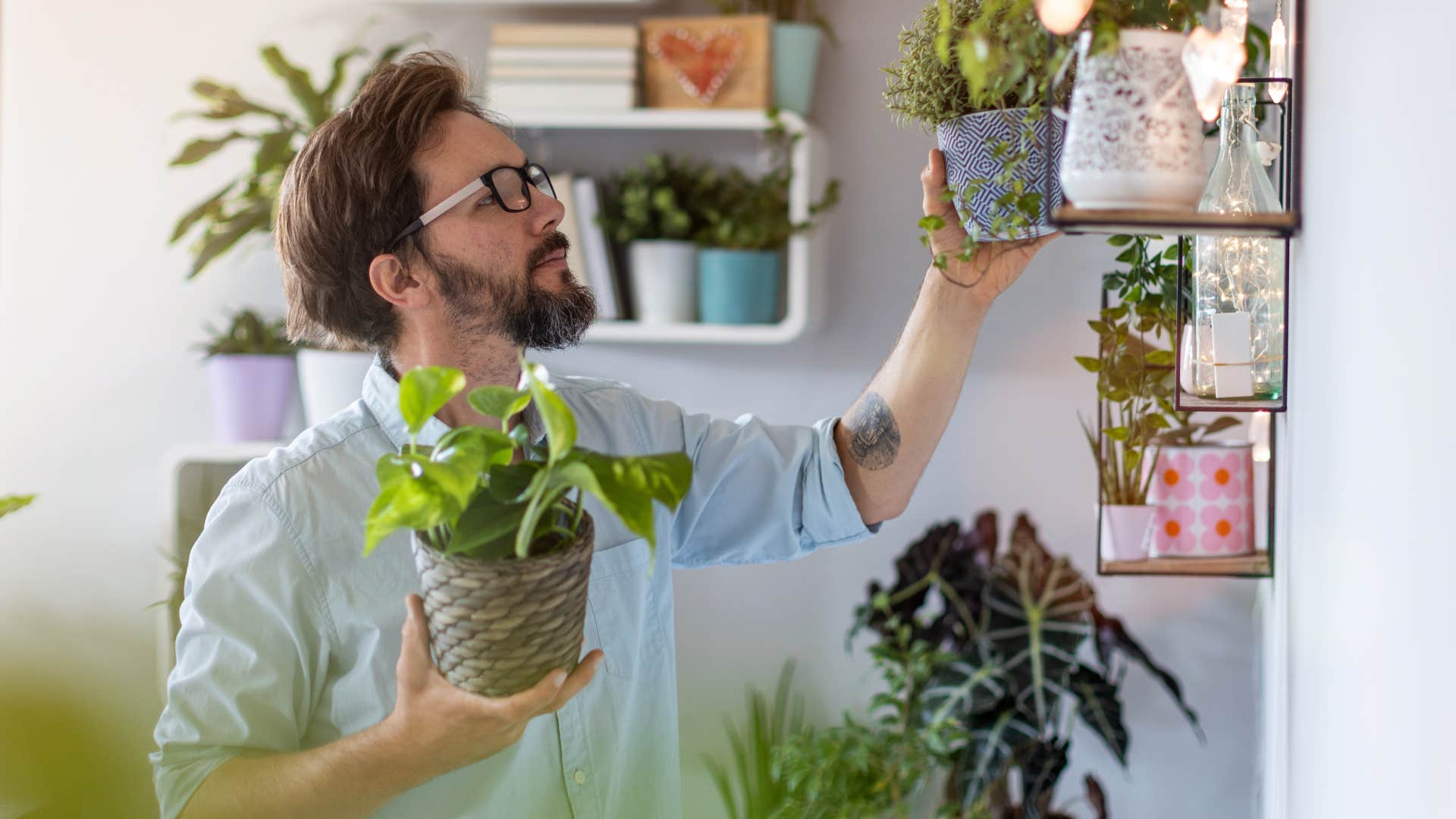 man getting rid of dead plants in his home