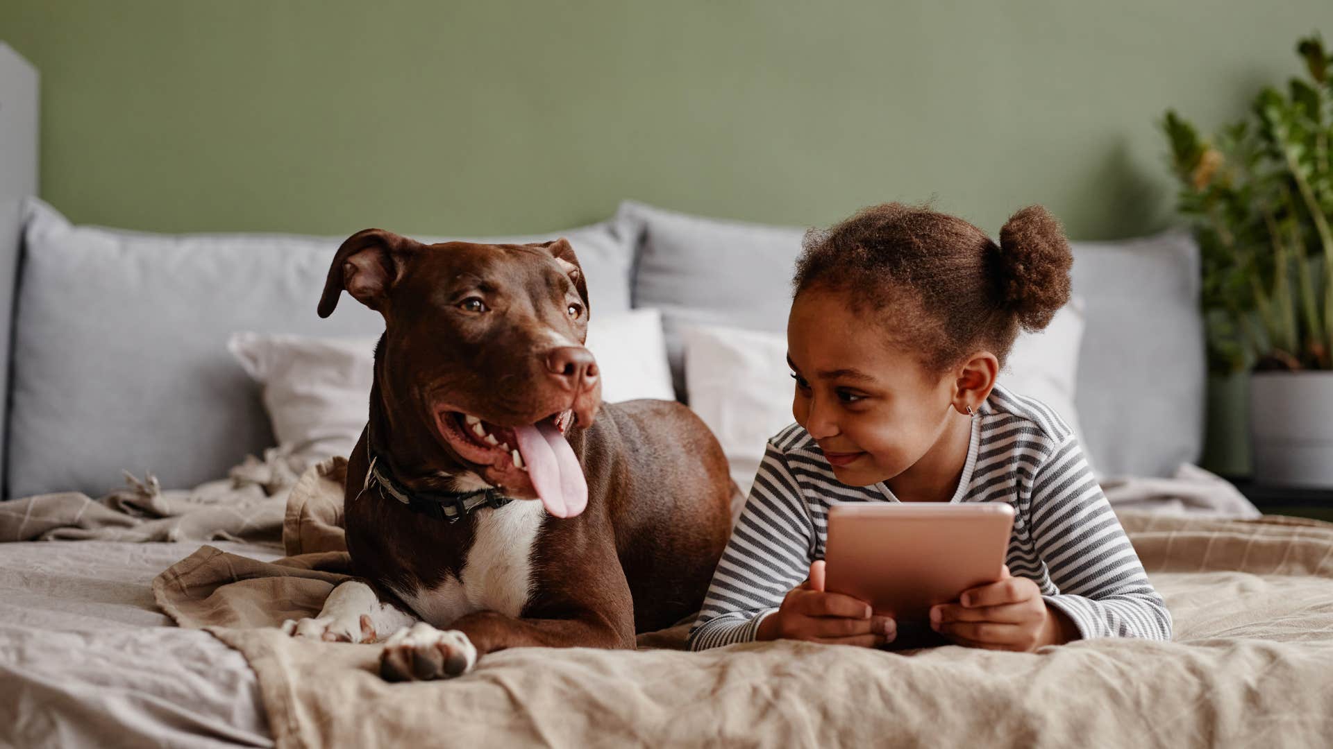 Child has unconditional love for pet in bed