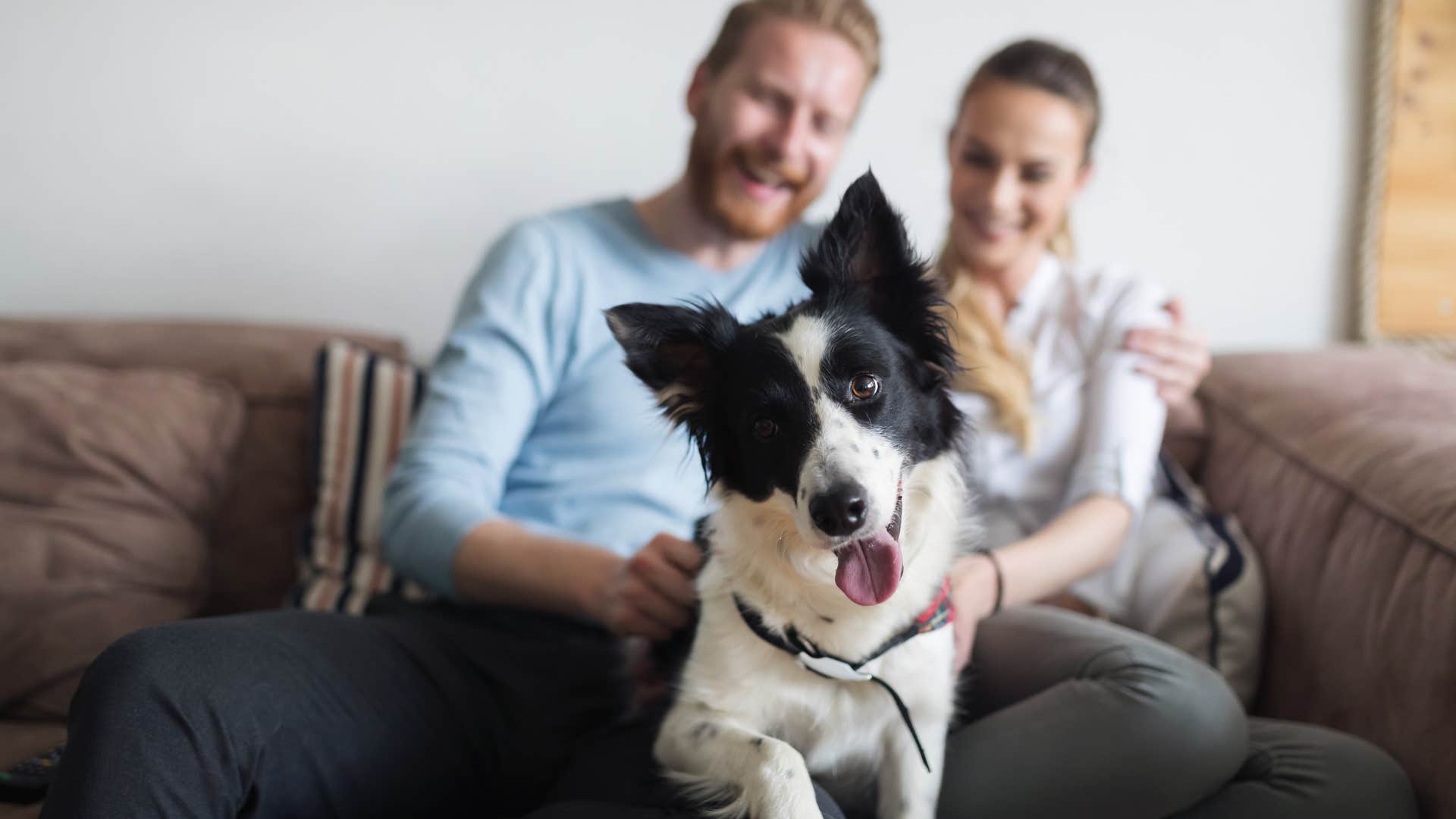 couple with dog on couch