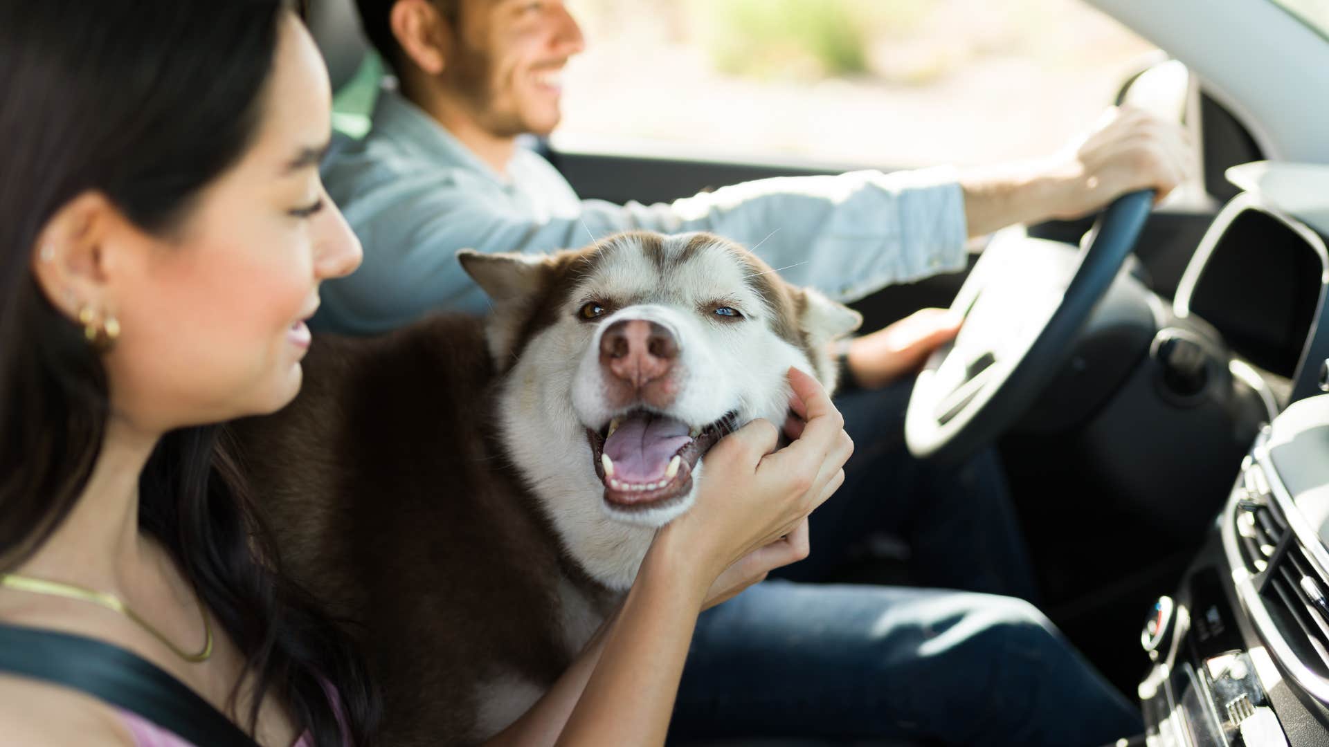 woman petting happy huskie dog in car