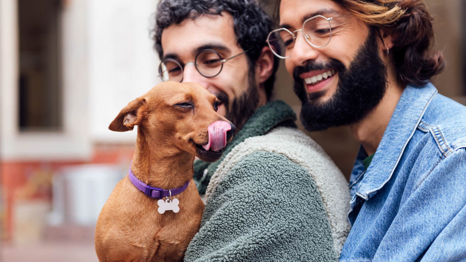 dog licking its nose with owners holding it