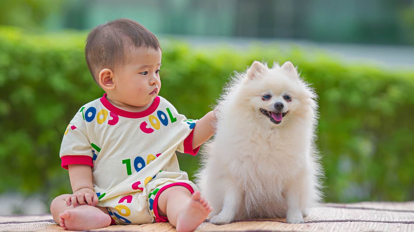woman demands sister in law rename dog same name baby woman demands sister in law rename dog same name baby