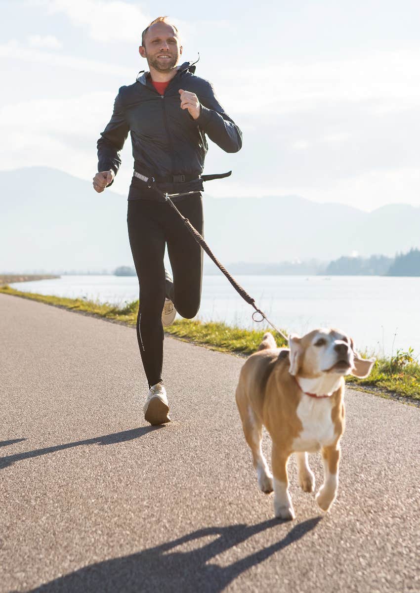 people prefer dogs cats personality active