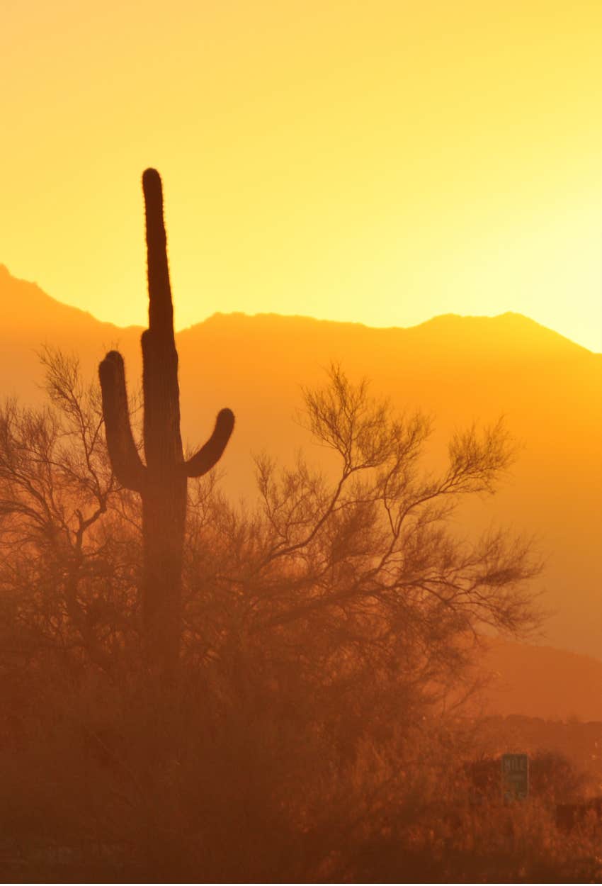 hot arizona day hoa fining homeowner giving water bottles neighbors