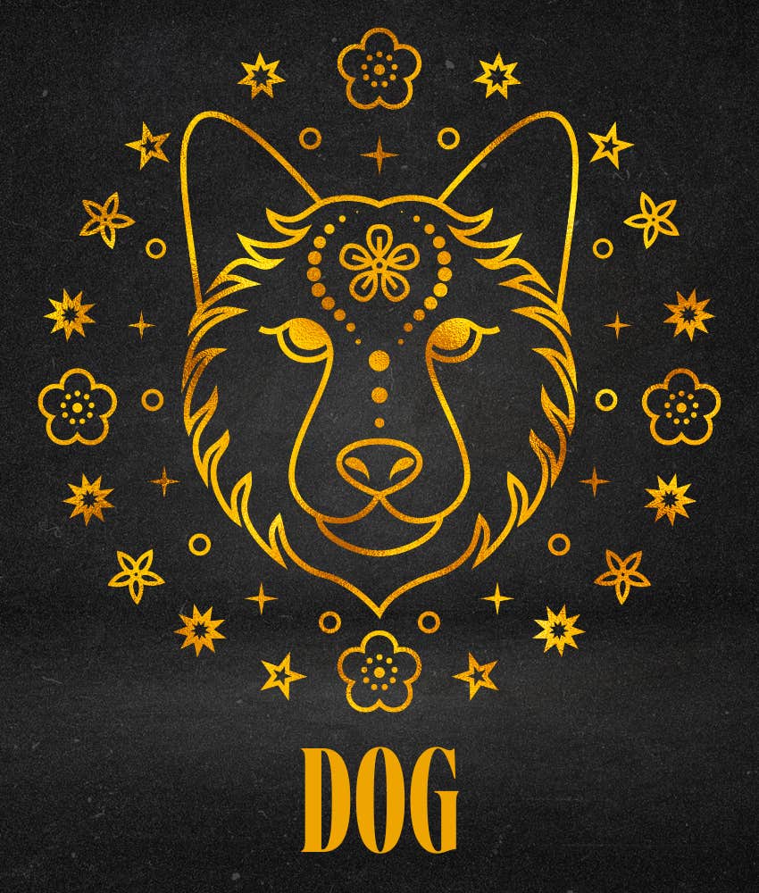 dog weekly horoscope chinese zodiac sign july 21 - 27, 2025