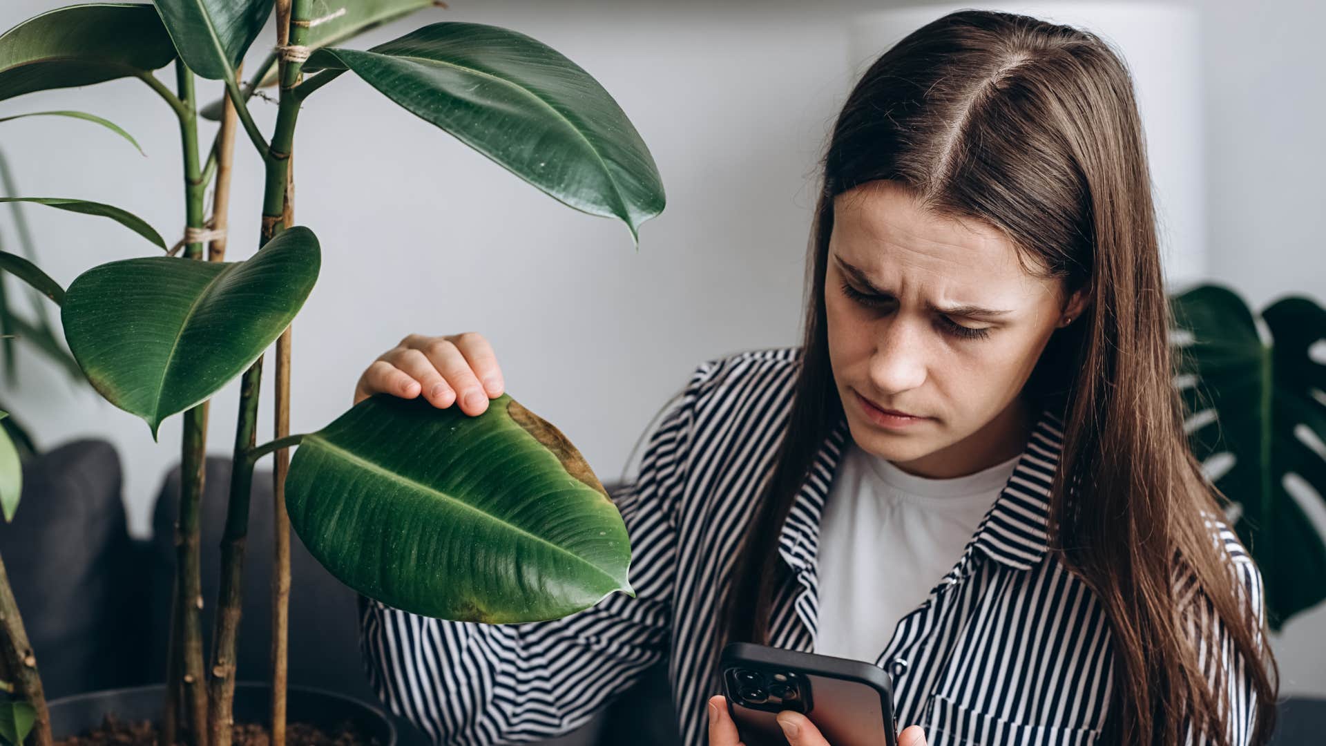 a burned out woman notices her plants are dying after neglecting them for months