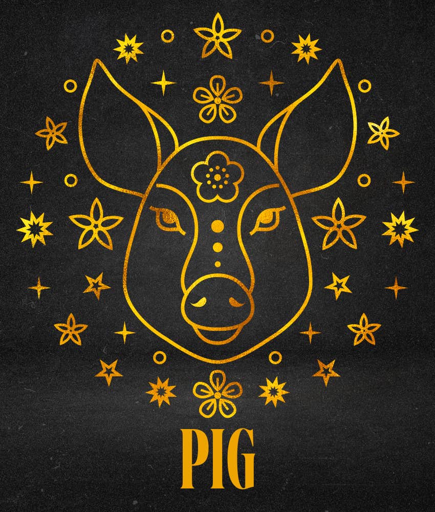 pig weekly horoscope chinese zodiac sign july 21 - 27, 2025