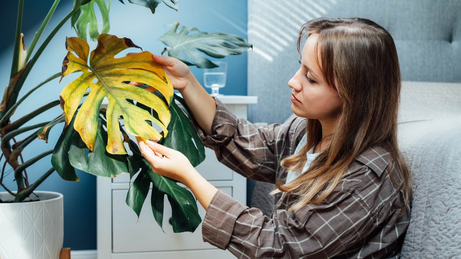 women touching dead plant in her home