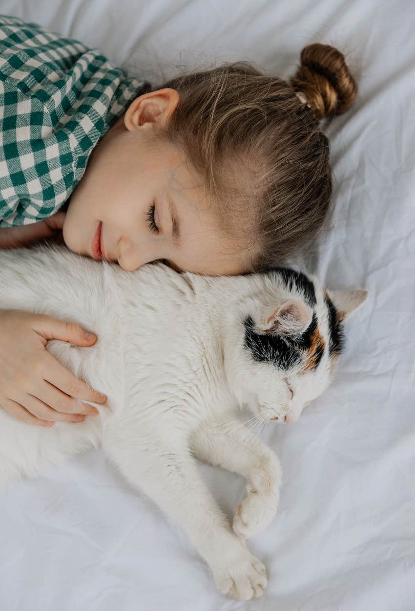 signs cat entitled wakes you up at night