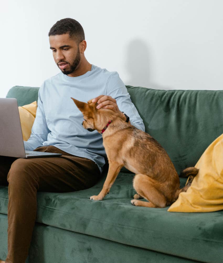 your job stresses dog out sense human emotions study