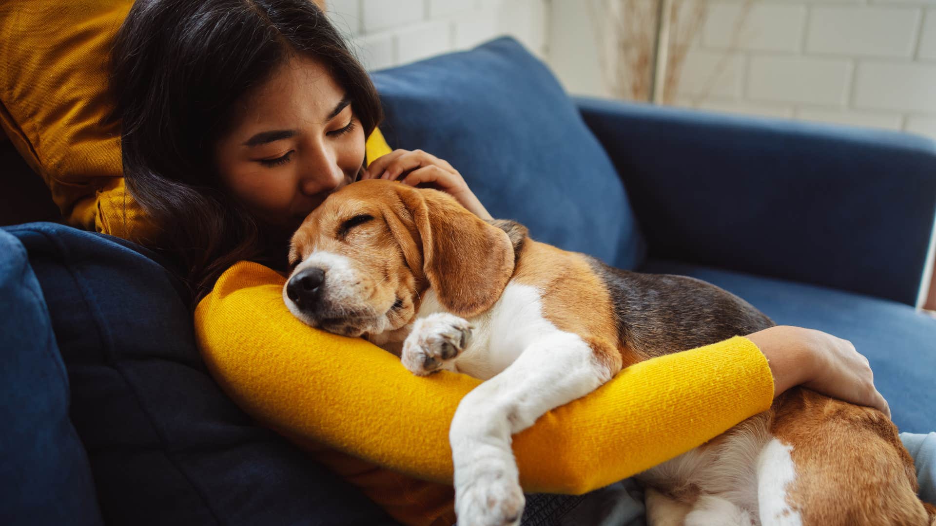 dog sleeping and cuddling in owners arms