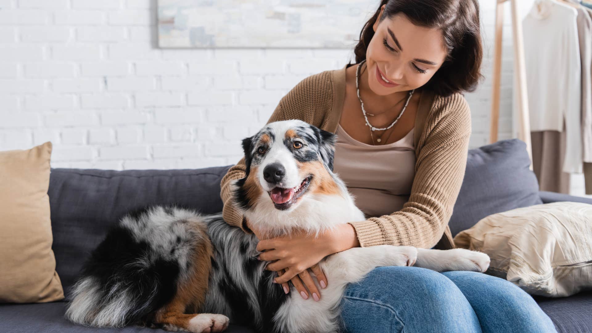 dog following its owner to the couch to snuggle