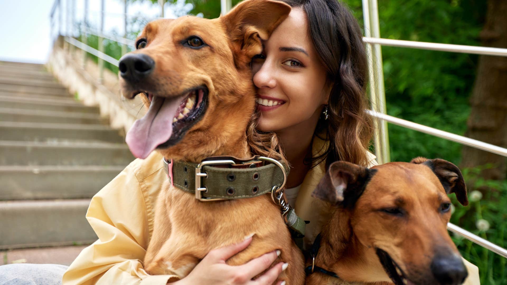 woman with her two well behaved dogs sitting calmly