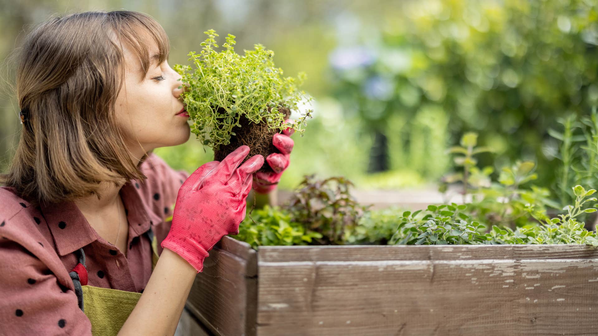young frugal woman smelling herbs in her garden