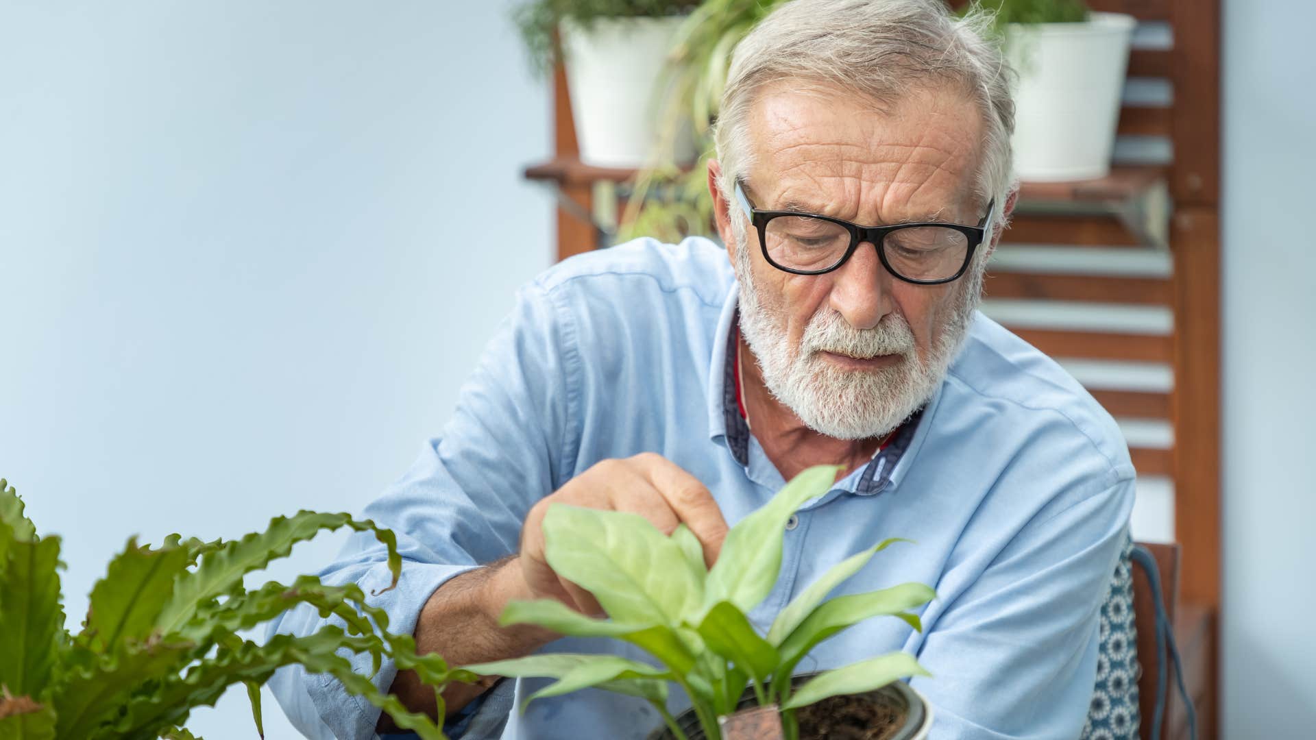 man tending to fake plants in his home