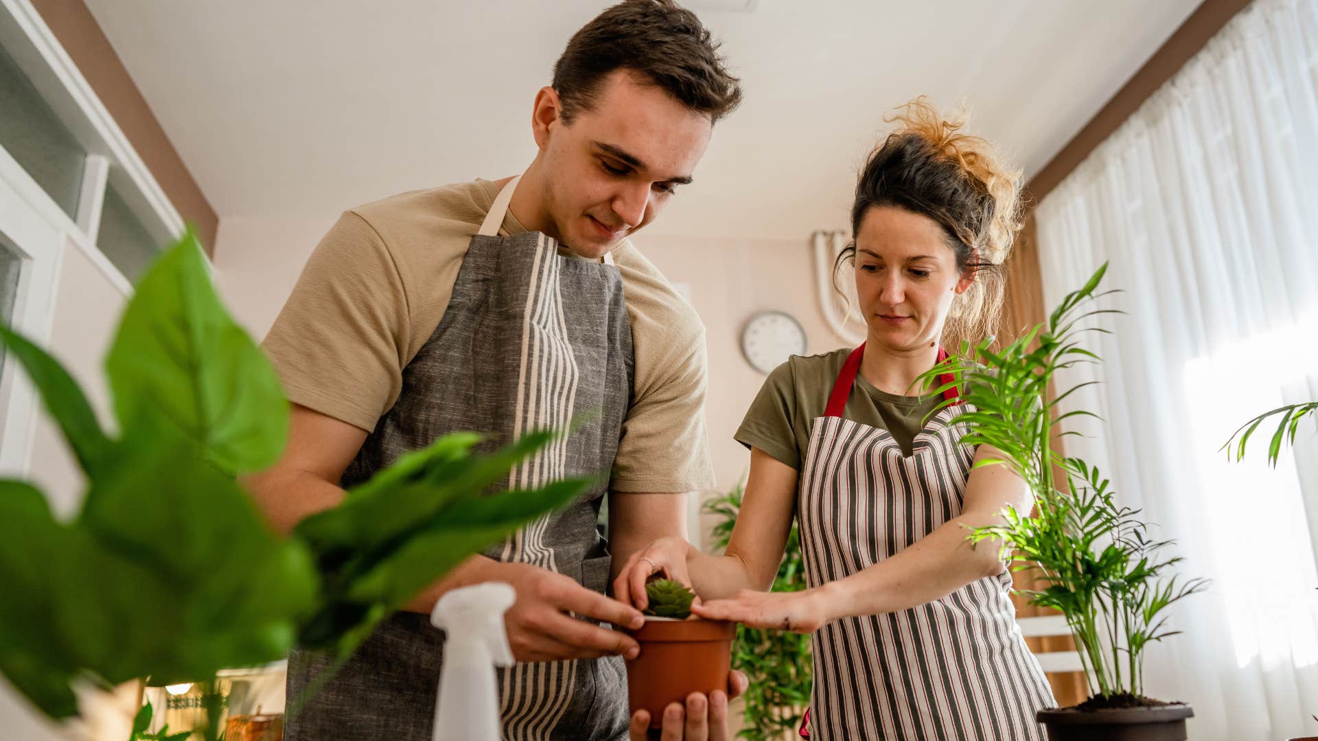 wealthy couple growing tons of food planting at home