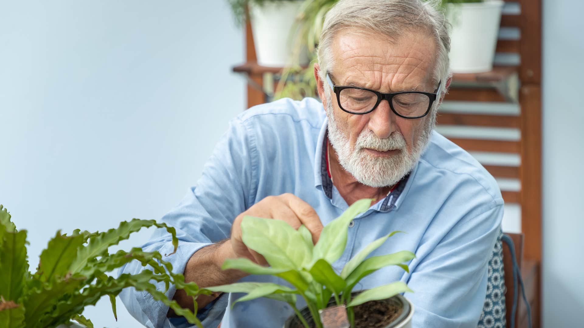 man tending to plants in his living room