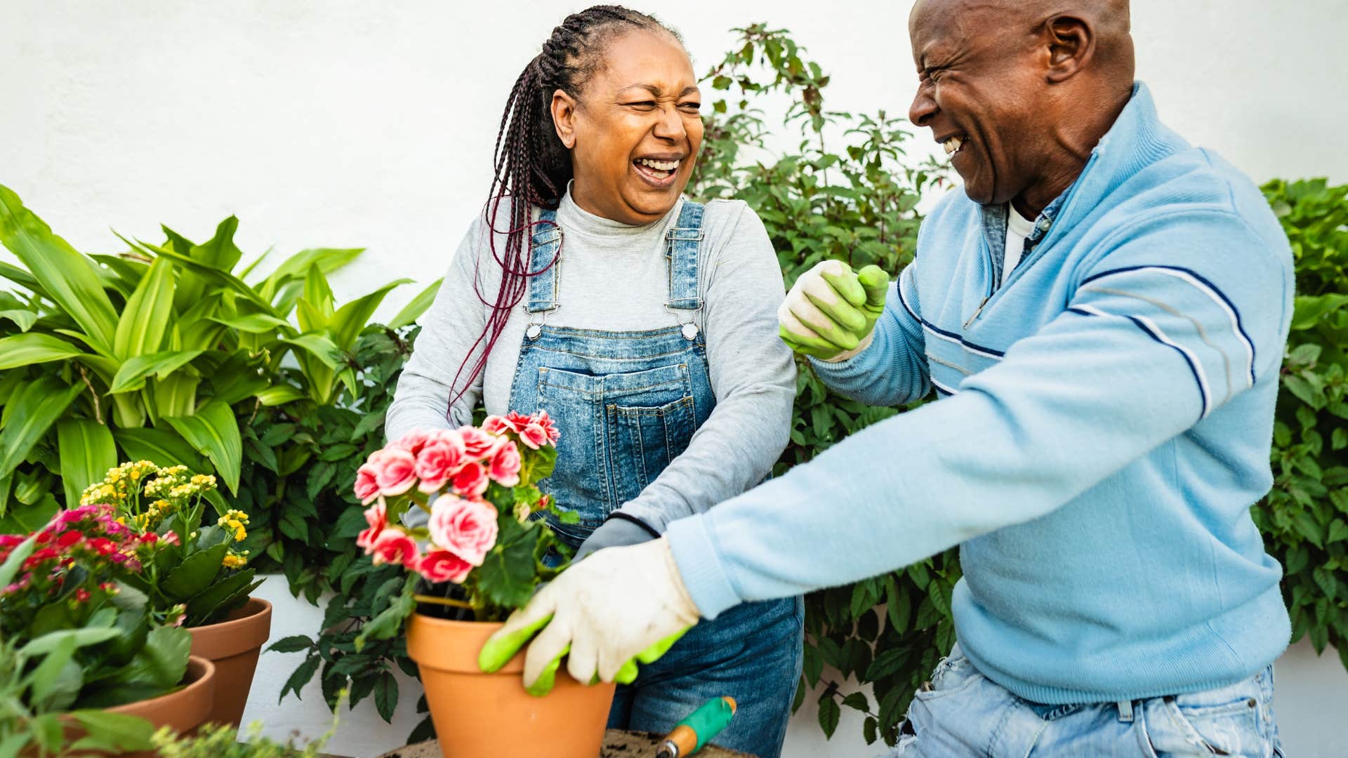 middle class couple gardening together landscaping