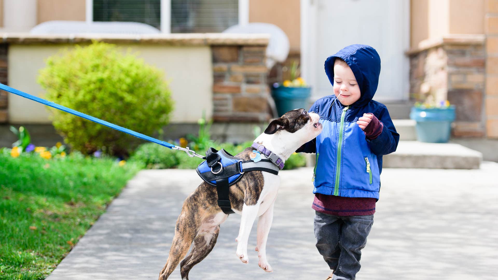 women who can't stand their pets after having children usually have these reasons they're dealing with unmet expectations