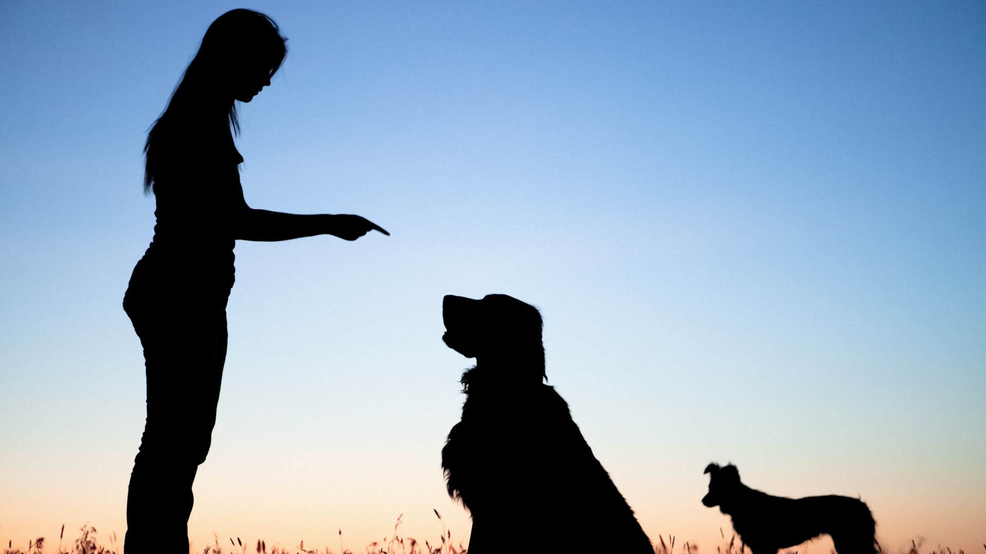 women who can't stand their pets after having children usually have these reasons their pets lack boundaries