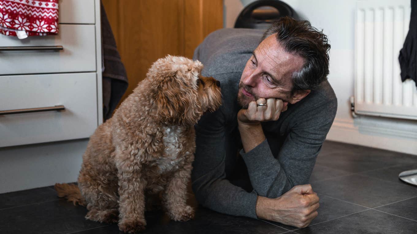 mans job stressing dog out study