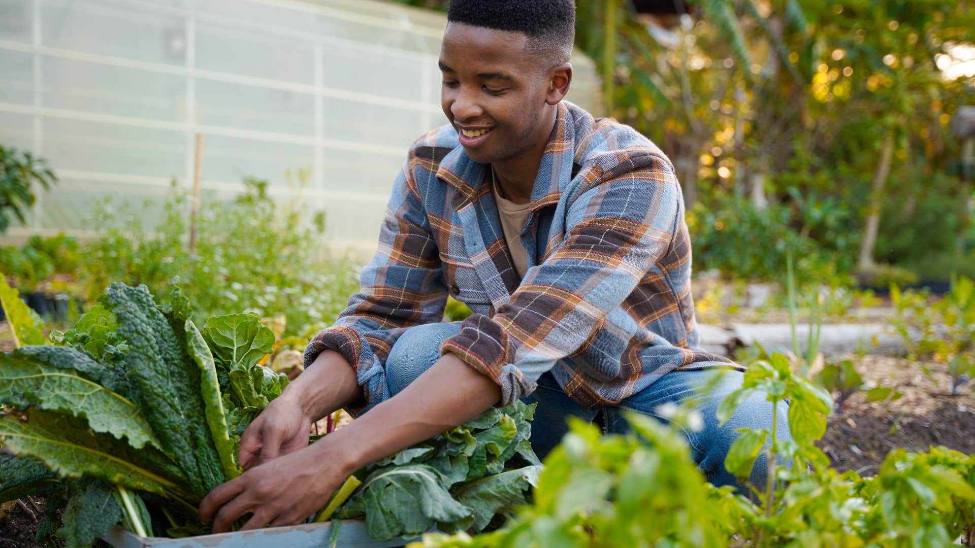 man tending a garden