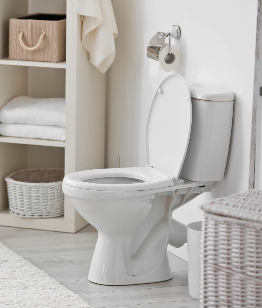 The contemptuous toilet seat is down