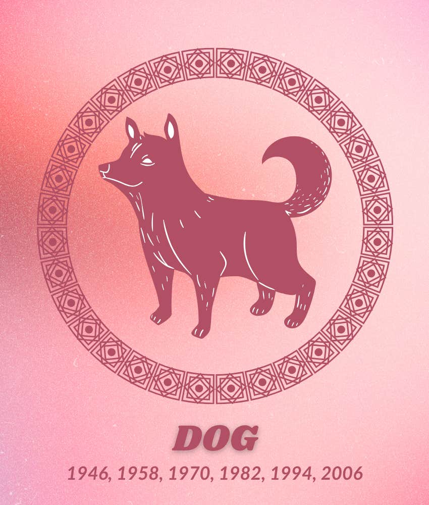 dog chinese zodiac signs luck good fortune september 2 2025