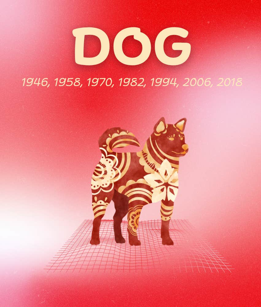 dog chinese zodiac signs weekly horoscope august 4 - 10, 2025