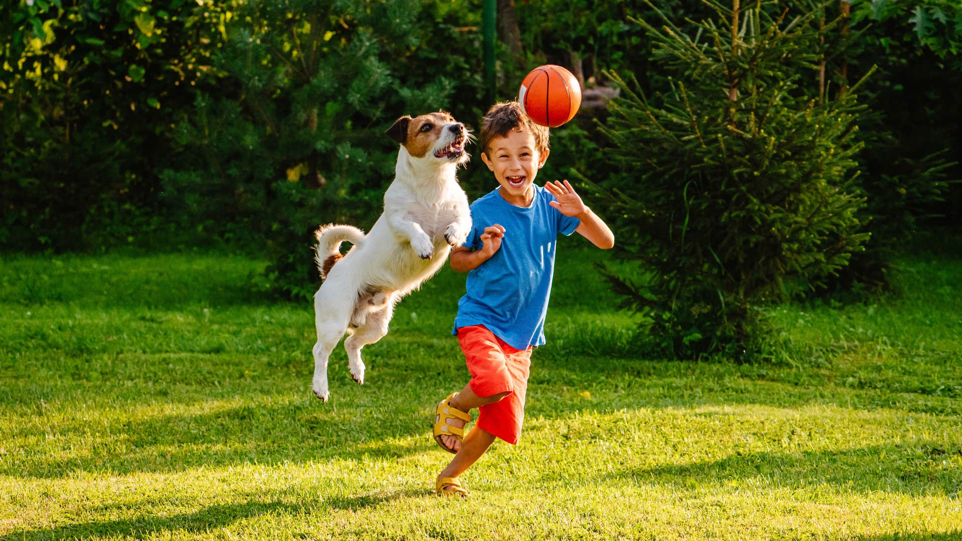 Grandchild playtime with dog