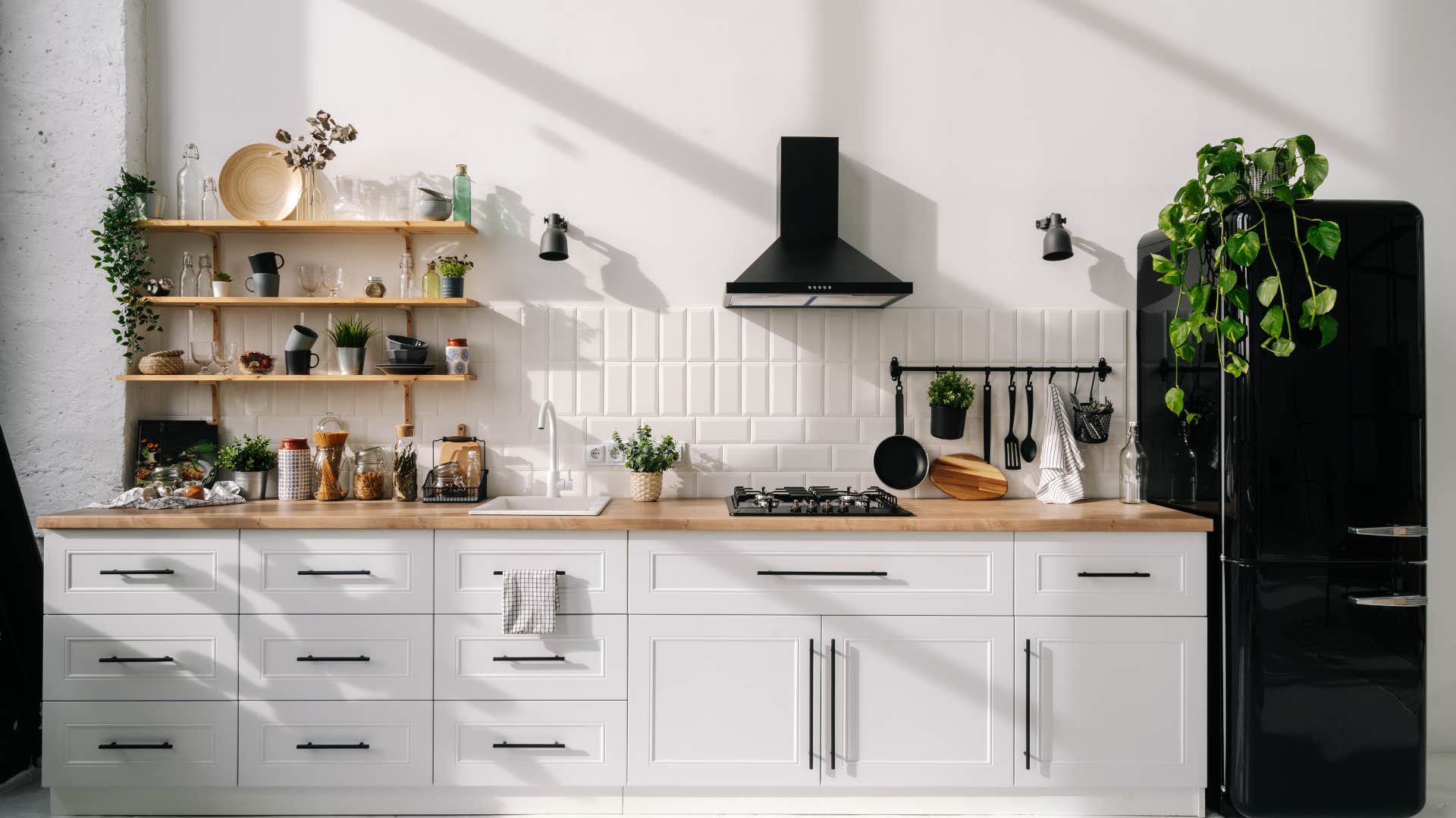 if your kitchen has Real plants people assume you have your life together 