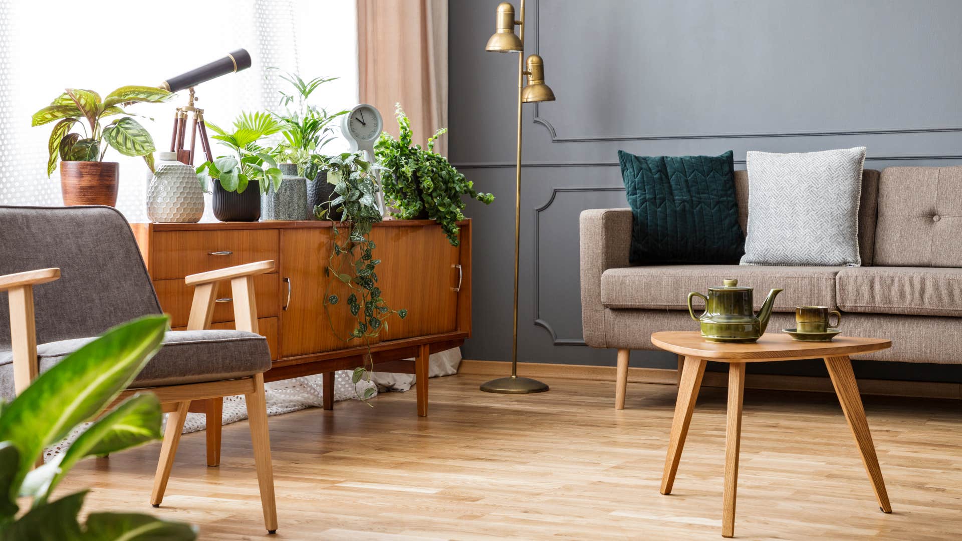 if your living room has Real plants guests immediately respect you 