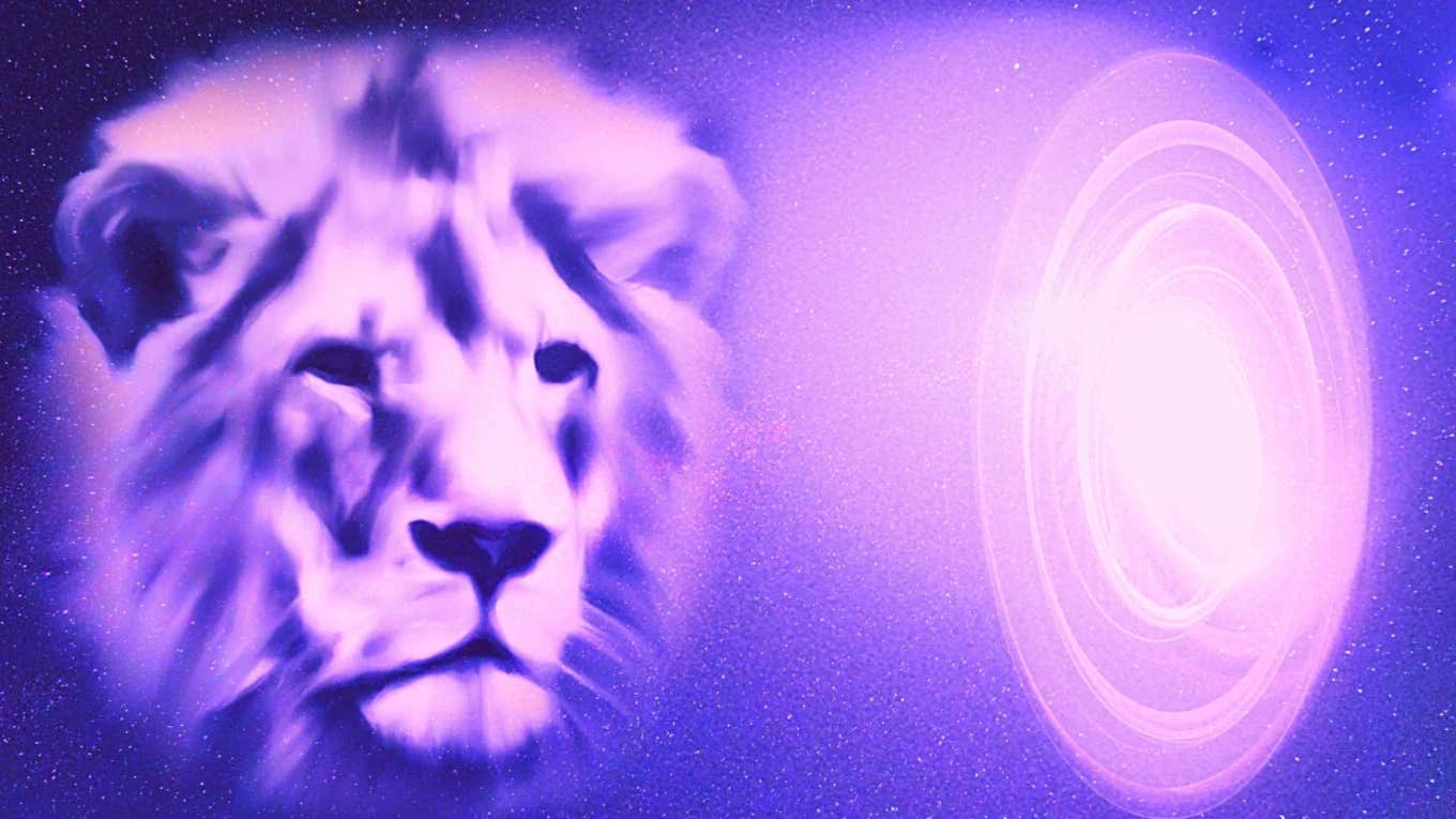 lions gate portal 2025 lions gate portal 2025