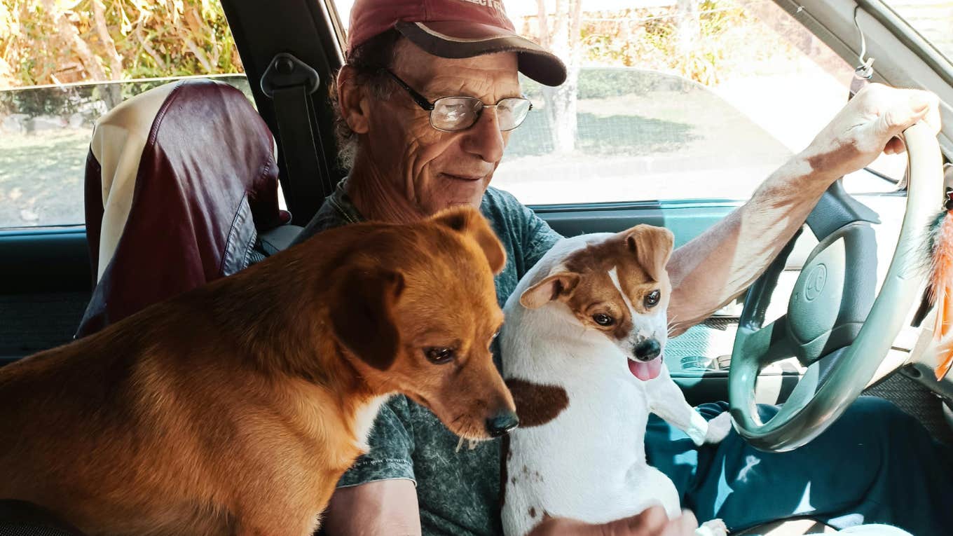 ny judge rules dogs immediate family members ny judge rules dogs immediate family members