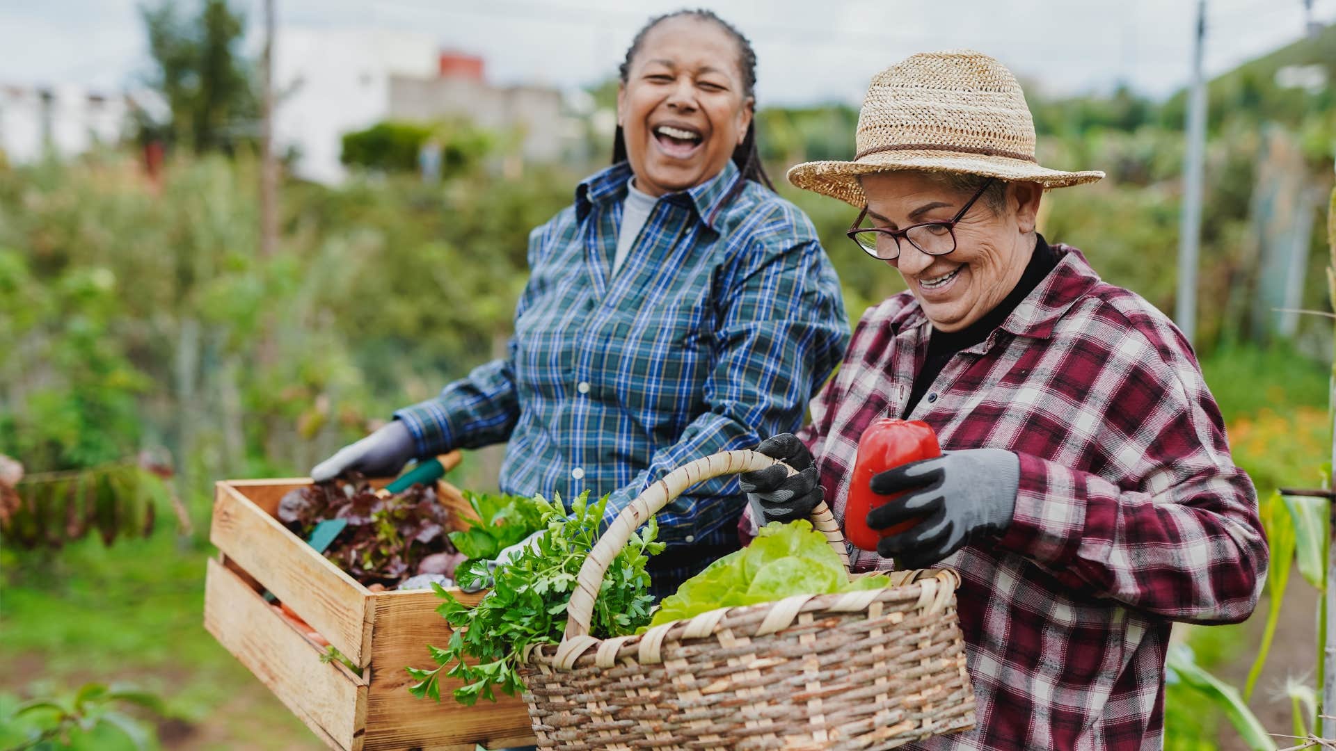 person over 60 still does the household task of Doing yard work, making them exceptionally strong