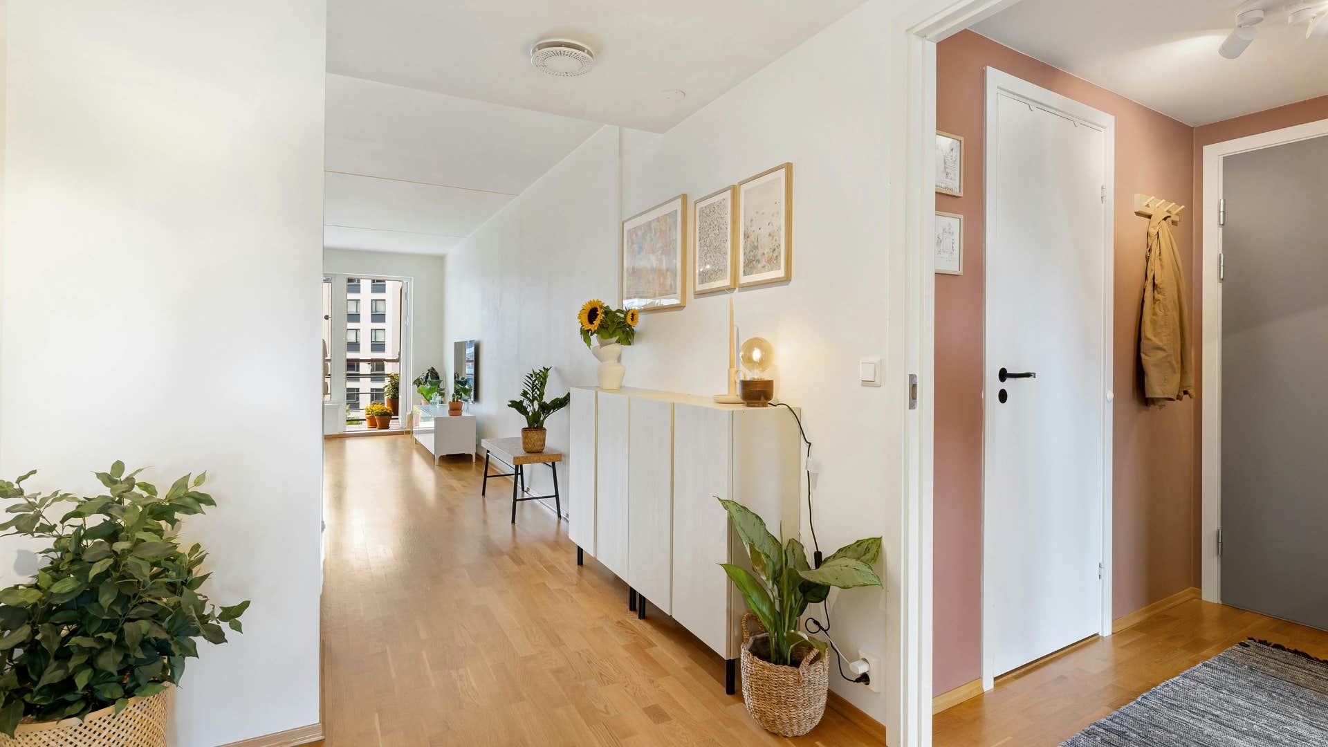 People can tell you're highly intelligent if these things are in your home plants