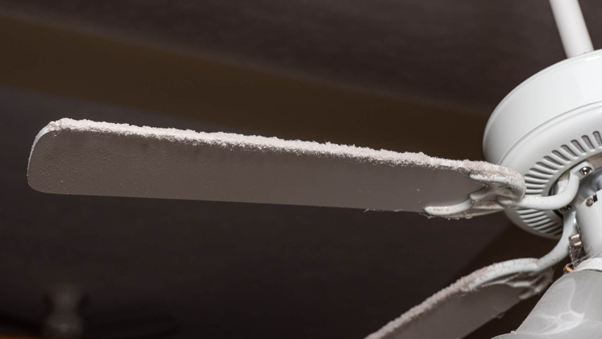 person who secretly judge a messy house usually looks for Dust on ceiling fans