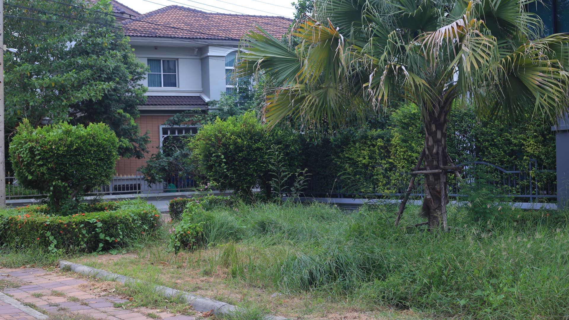 person who secretly judge a a messy house usually looks for Unkempt landscaping