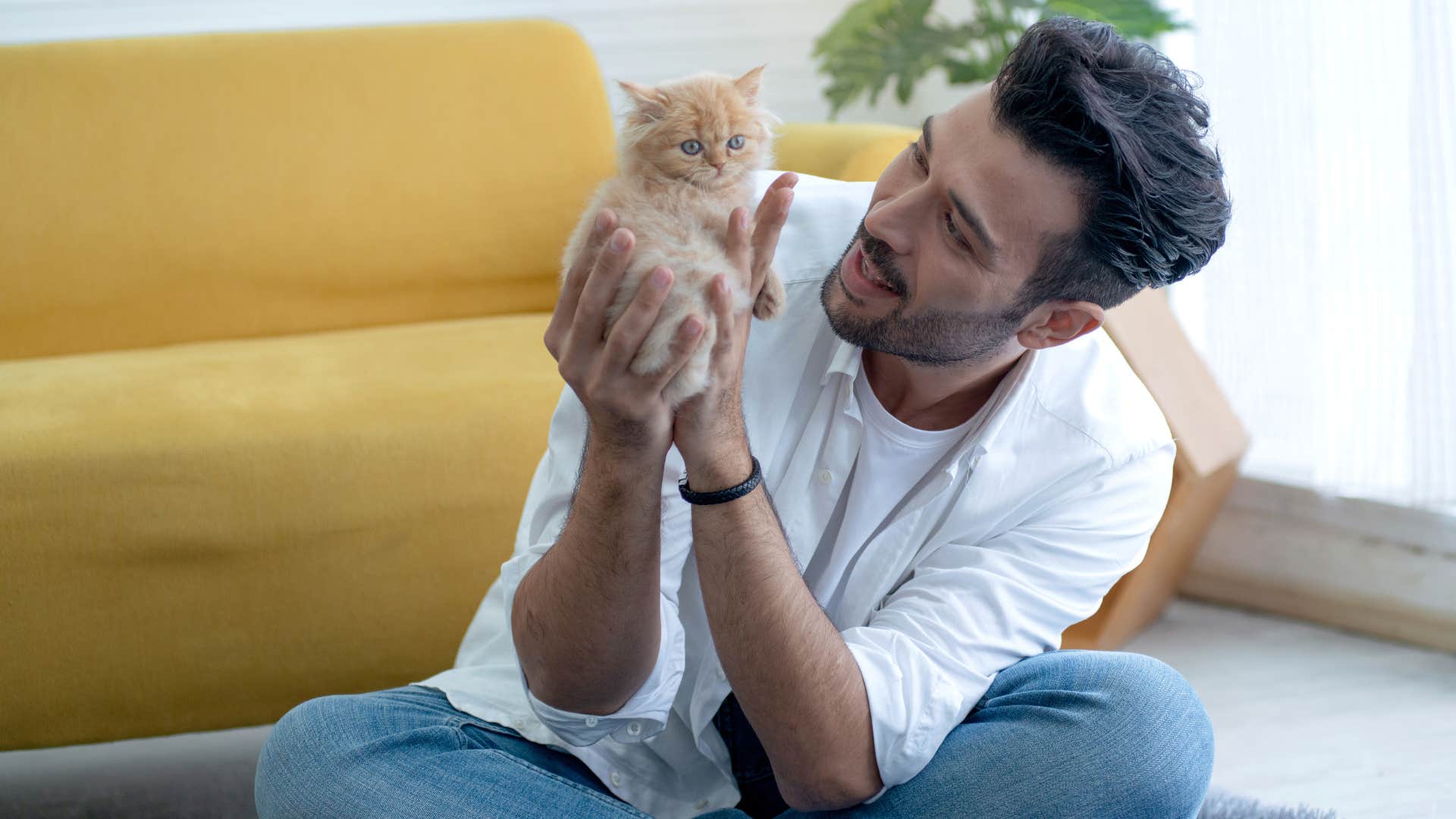 high iq man holding a kitten