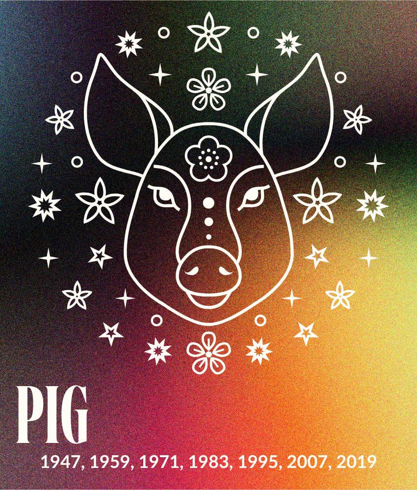 pig chinese horoscopes animal sign september 1 - 7, 2025