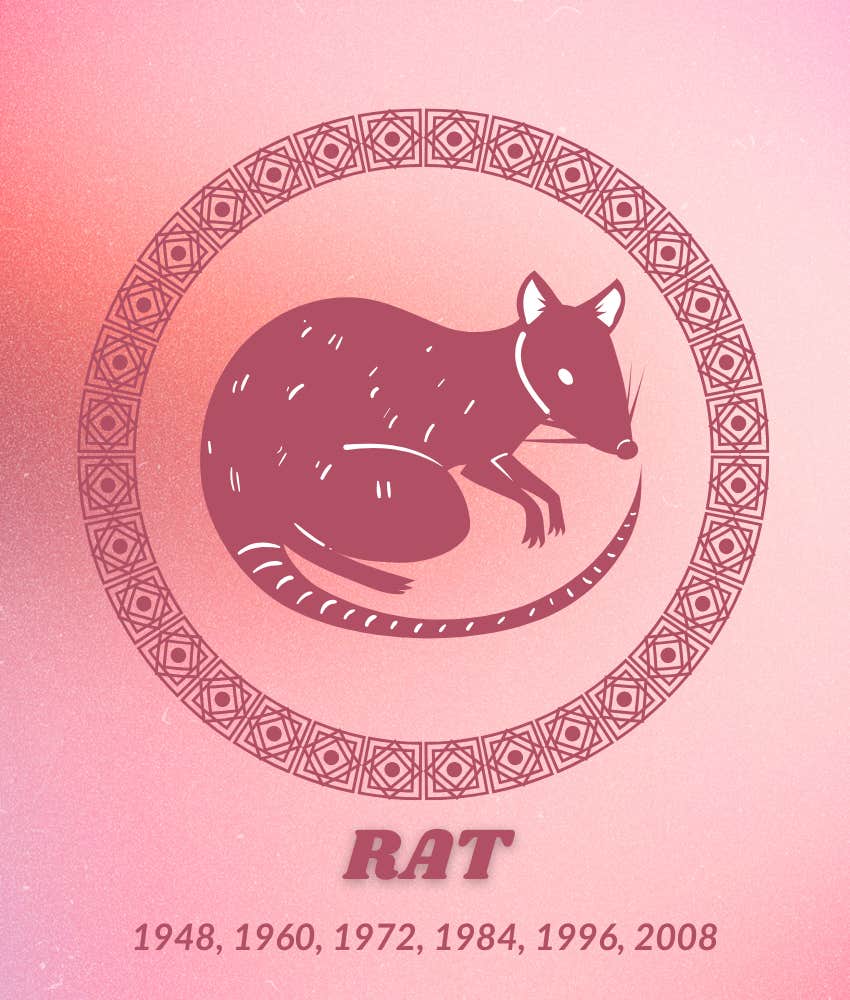 rat chinese zodiac signs luck good fortune august 31 2025
