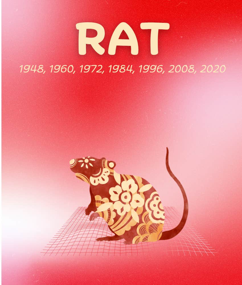 rat chinese zodiac signs weekly horoscope august 4 - 10, 2025