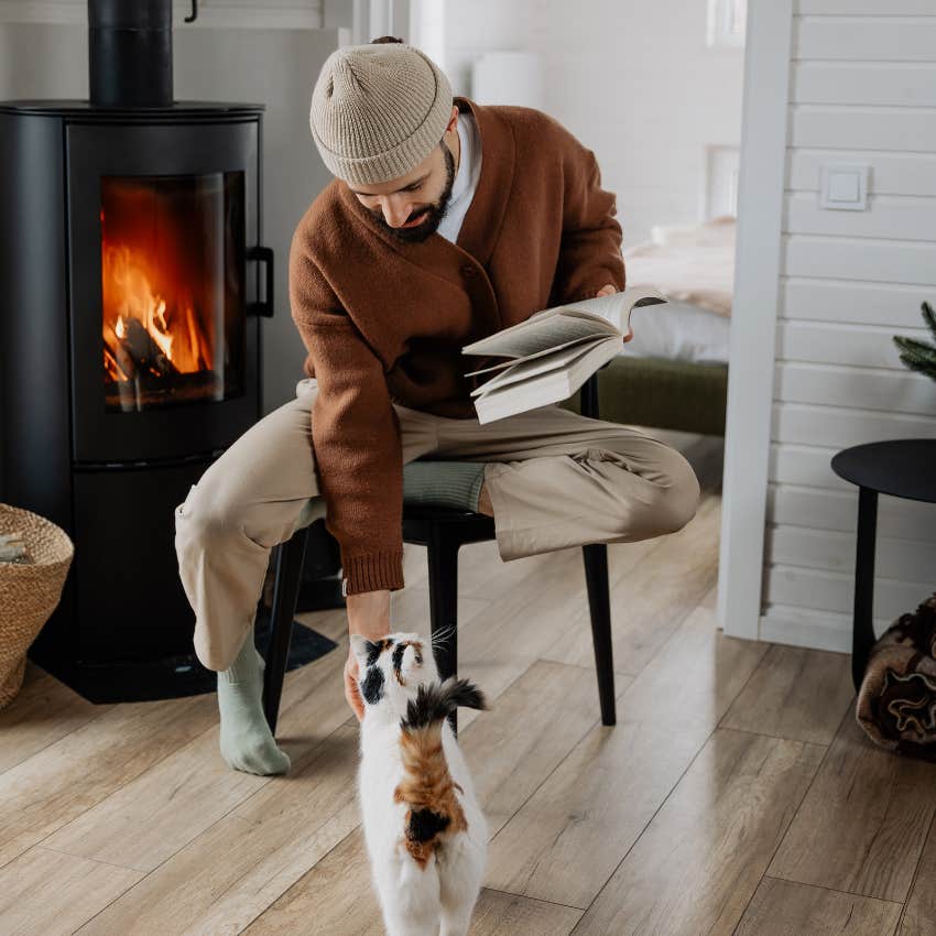 Reasons Men With Cats Are Elite Partners Understand Complex Behaviors
