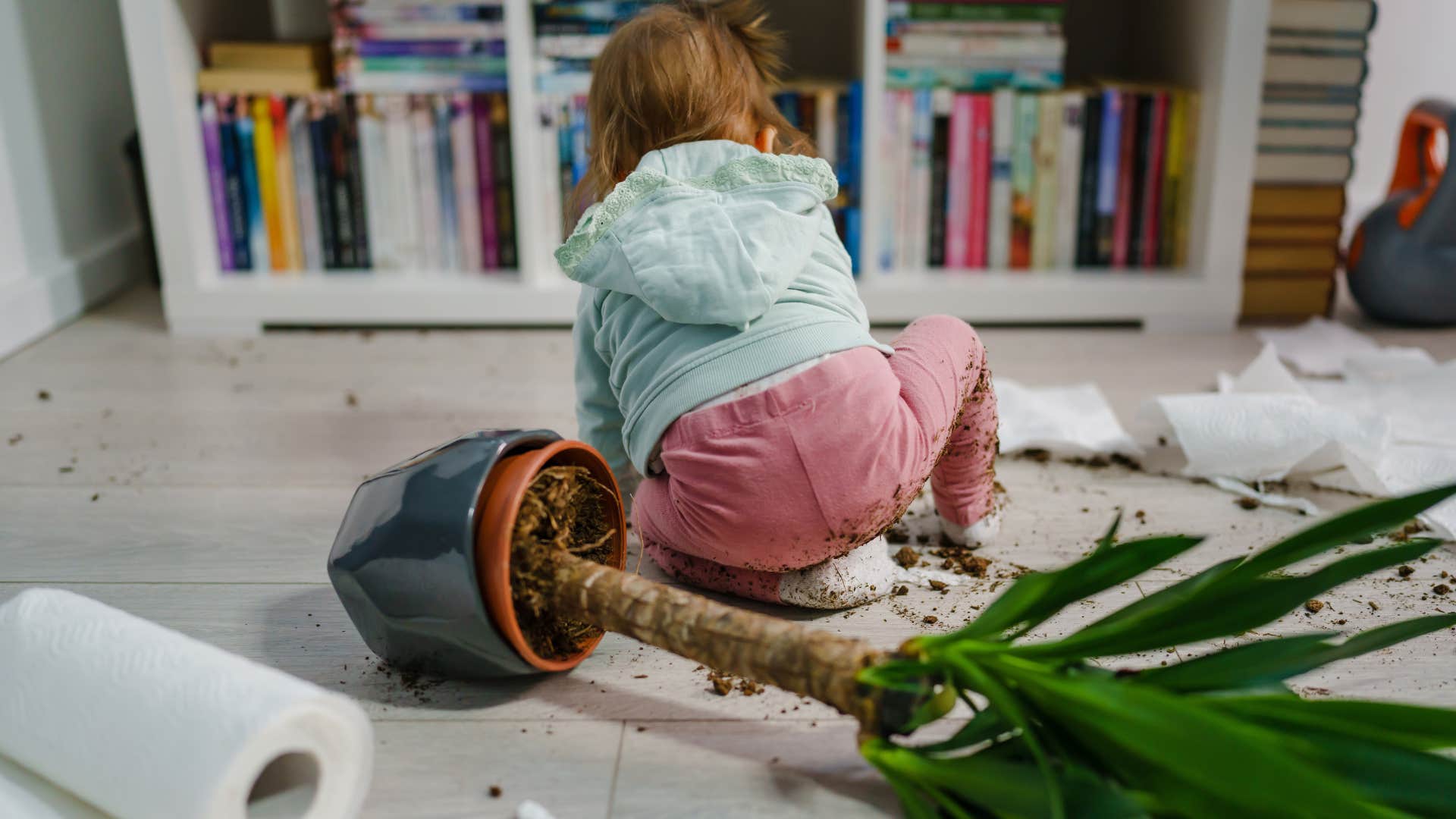 a little girl makes a mess of the plants in her home
