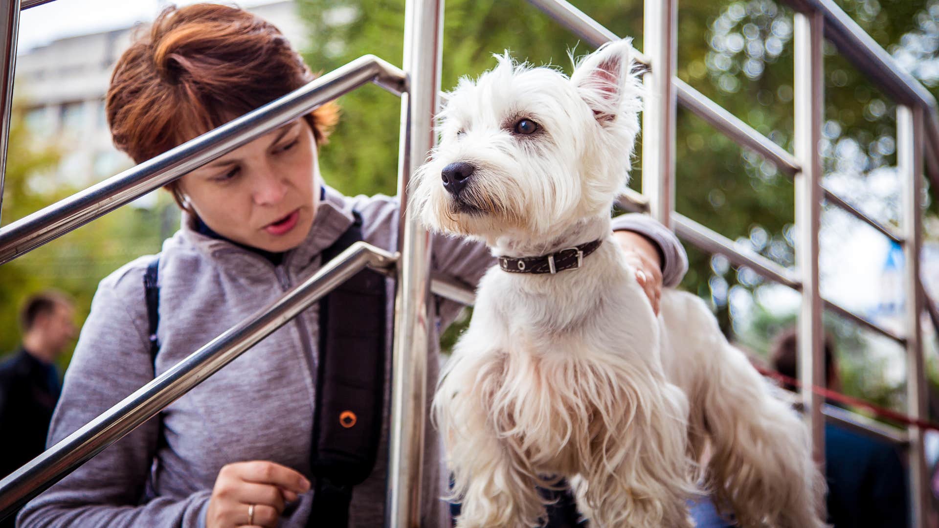 Woman who's not picking up after their pets sitting in a park.